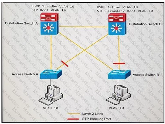 300-420 Dumps Vce